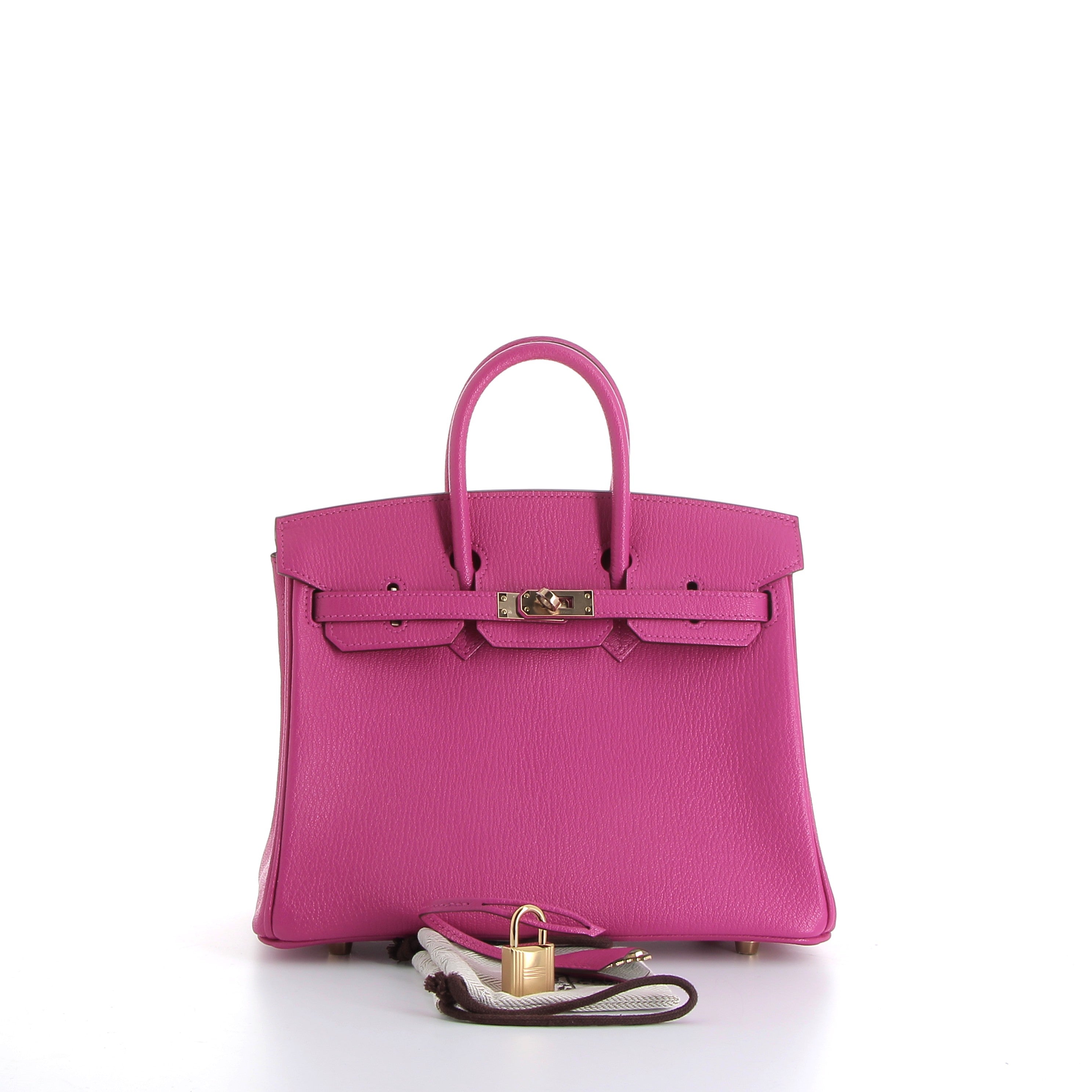 Hermès Birkin 25cm Magnolia Chevrè Leather with Gold Hardware