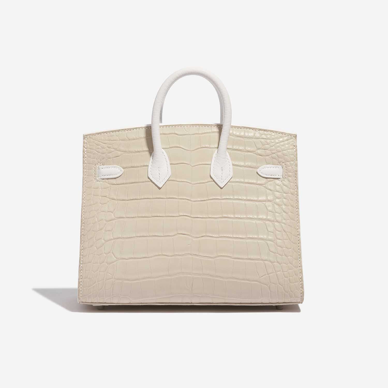 HERMÈS Birkin 20 Faubourg Alligator Mat / Togo / Epsom / Swift White / Beton / Orange H / Brume / Craie