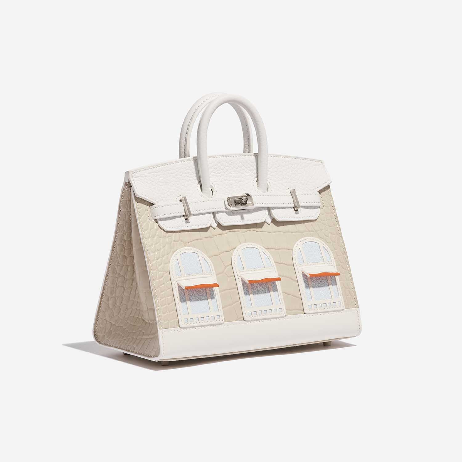 HERMÈS Birkin 20 Faubourg Alligator Mat / Togo / Epsom / Swift White / Beton / Orange H / Brume / Craie