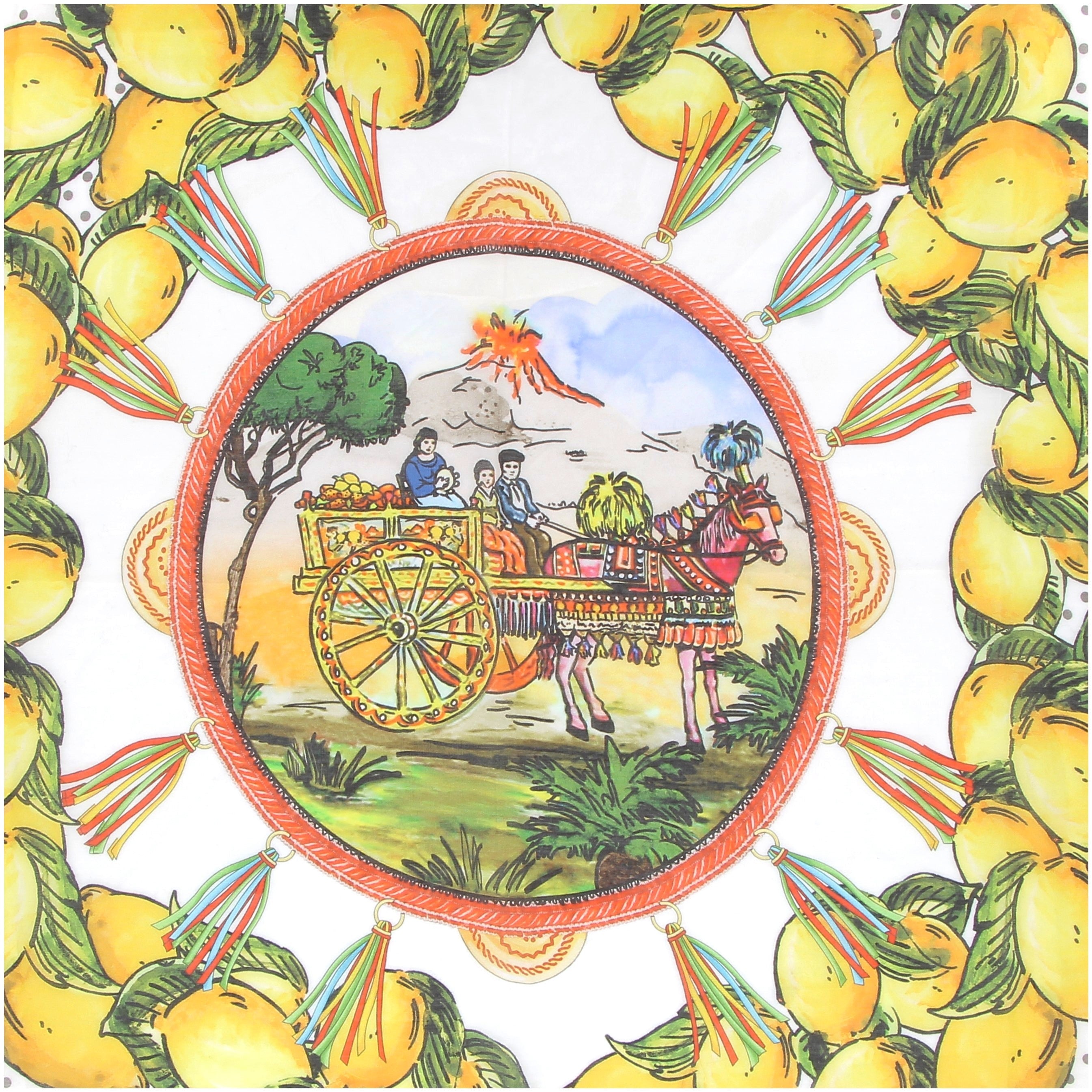 Dolce&Gabbana Multicoloured Printed Scarf