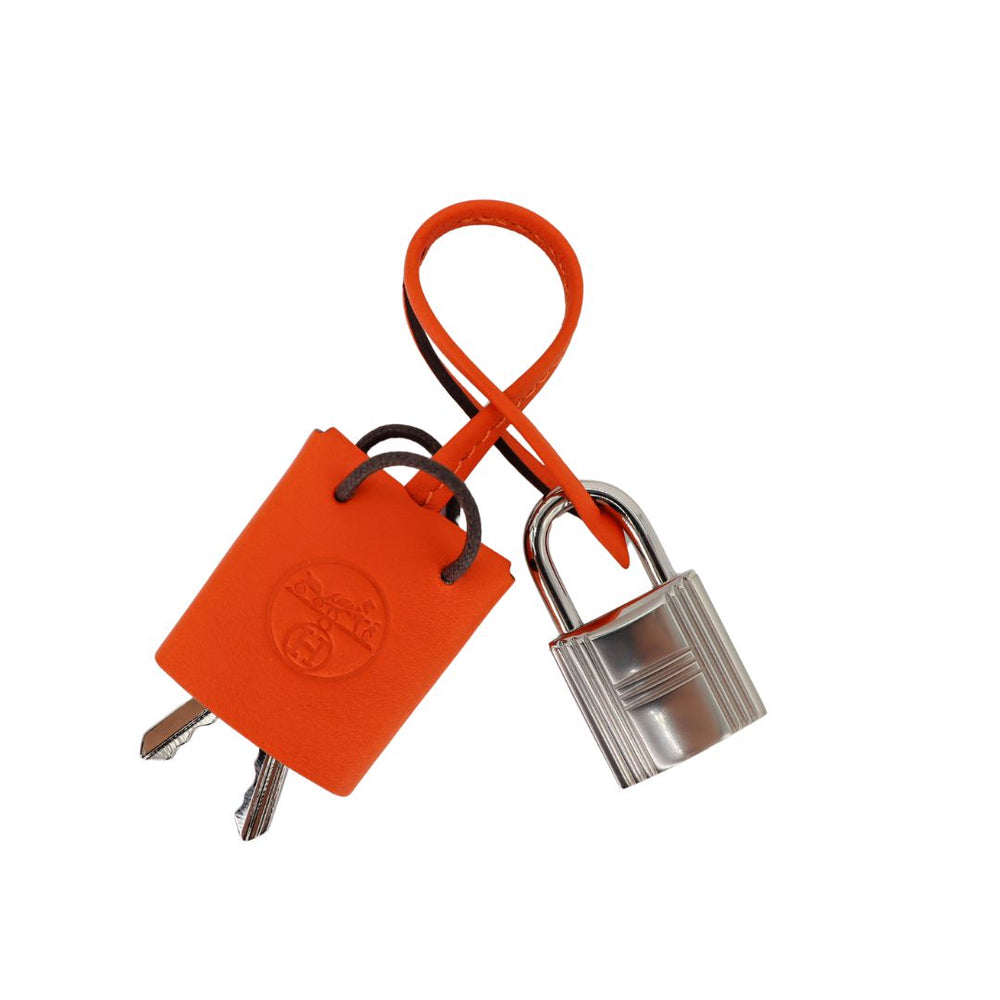 HERMÈS Birkin 20 Sellier Faubourg House Day Brown Palladium Hardware