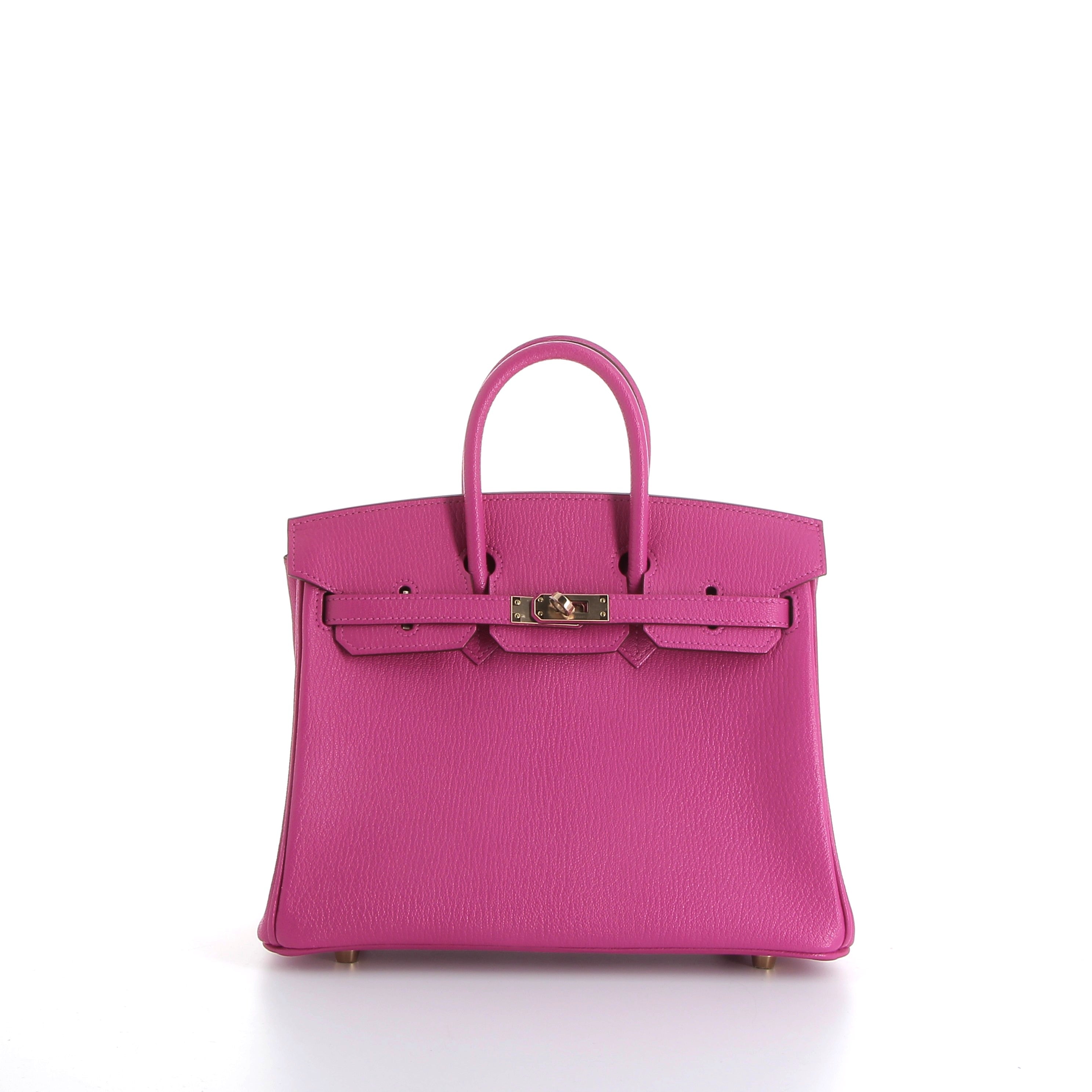 Hermès Birkin 25cm in Magnolia Chevrè Leather with Gold Hardware