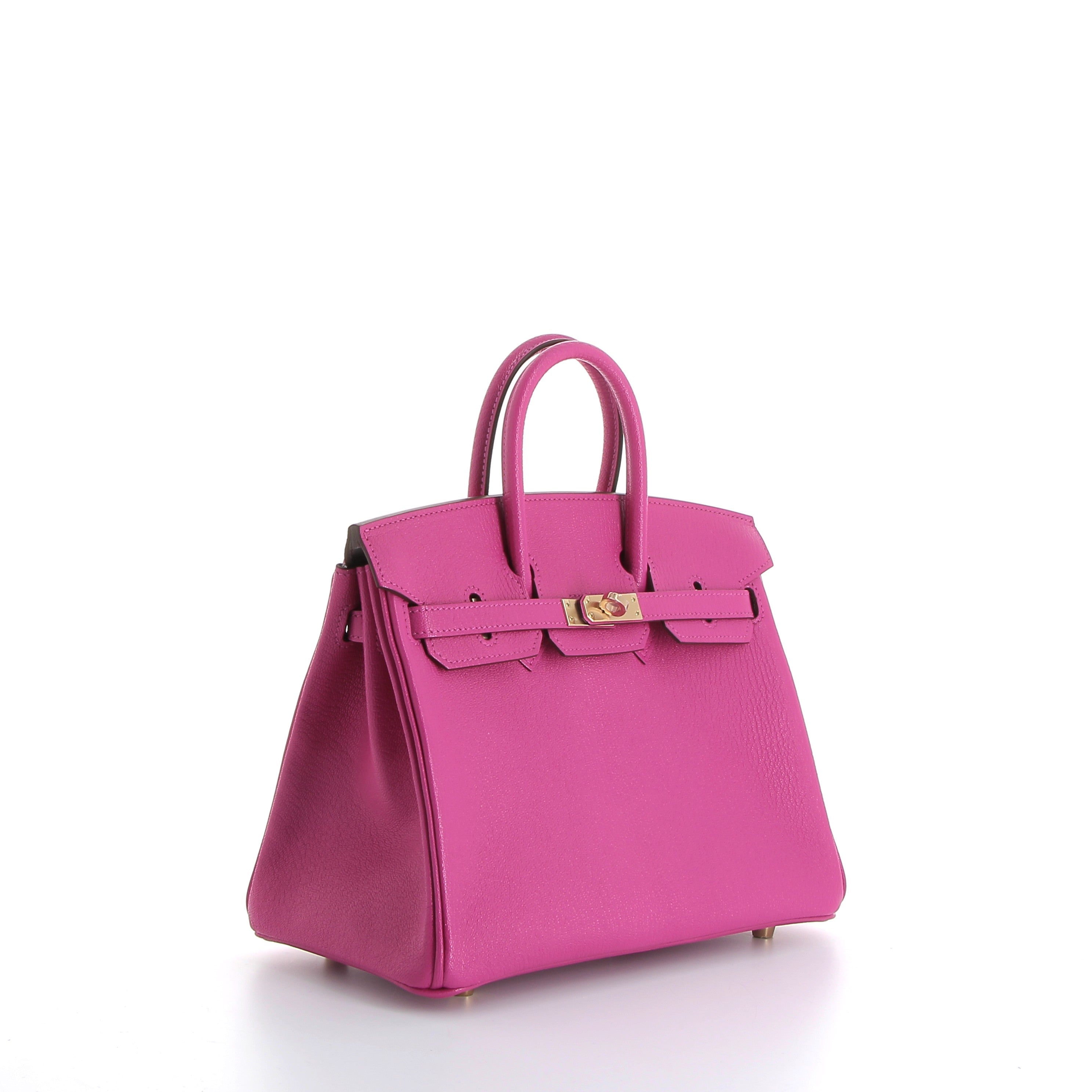 Hermès Birkin 25cm in Magnolia Chevrè Leather with Gold Hardware