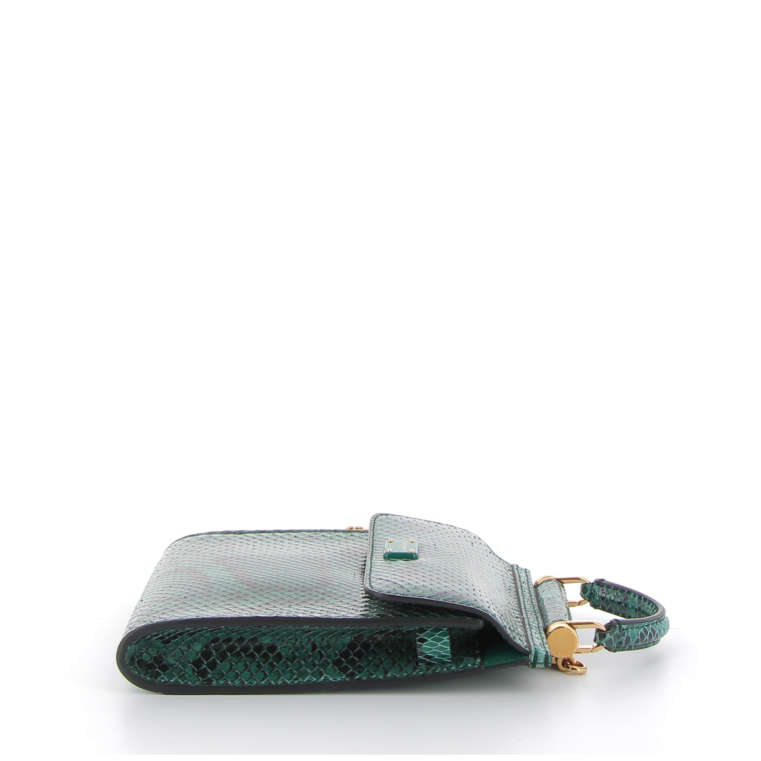 Dolce & Gabbana Sicily 58 Bag Green in Python Calf