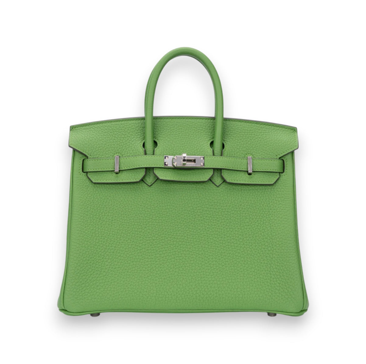 HERMES Birkin 25 Vert Yucca Togo Palladium Hardware